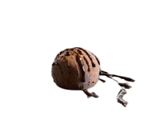 901 . Schoko Mochi-Eis 